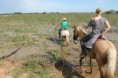 /album/en-pantanal-mt/a1048097-445294735565686-1371345584-o-horse-jpg1/